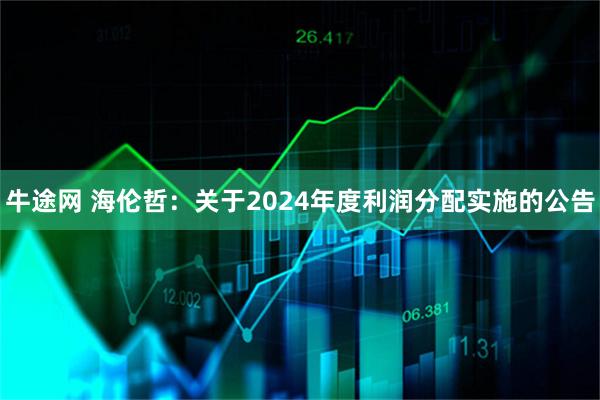 牛途网 海伦哲：关于2024年度利润分配实施的公告