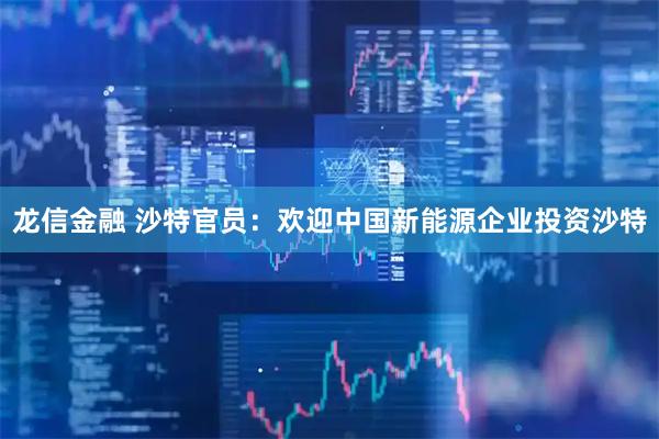 龙信金融 沙特官员：欢迎中国新能源企业投资沙特