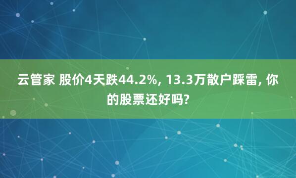云管家 股价4天跌44.2%, 13.3万散户踩雷, 你的股票还好吗?
