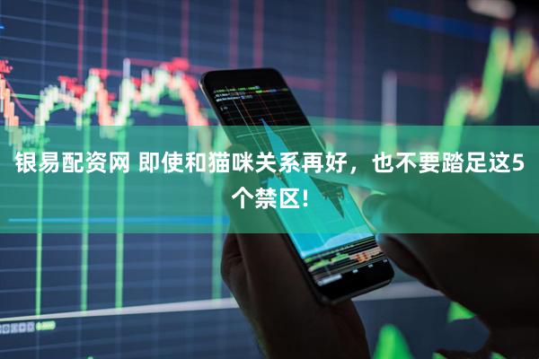 银易配资网 即使和猫咪关系再好，也不要踏足这5个禁区!
