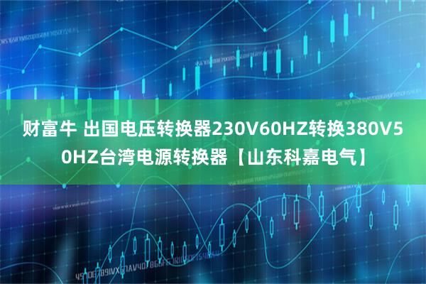 财富牛 出国电压转换器230V60HZ转换380V50HZ台湾电源转换器【山东科嘉电气】