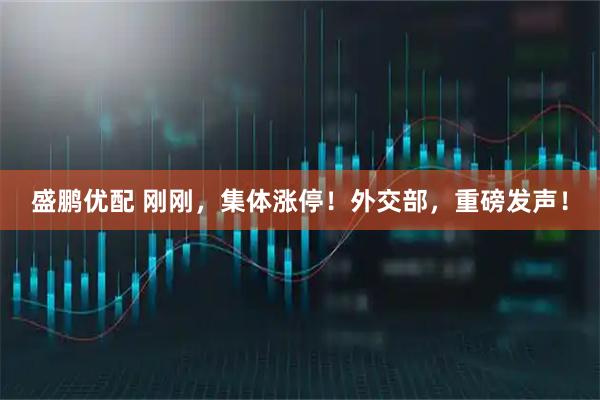 盛鹏优配 刚刚，集体涨停！外交部，重磅发声！